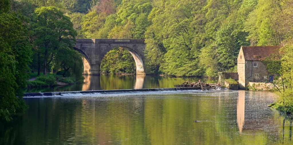 the river wear in durham with a bridge in the background